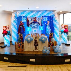 Blue And White Elsa Theme(Frozen Theme)