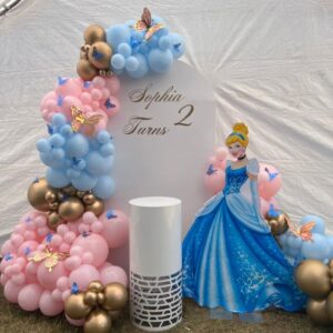 Tiny Tiara Princess Big Birthday