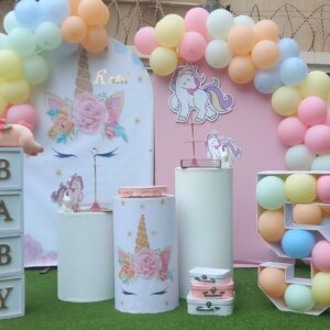 Mystical Land Unicorn Birthday Setup
