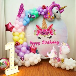Unicorn Queen Birthday Scene
